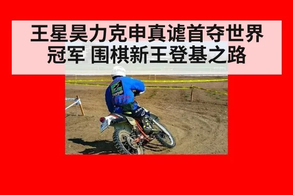 王星昊力克申真谑首夺世界冠军 围棋新王登基之路